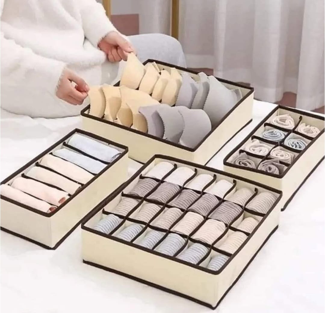 Garment organizer