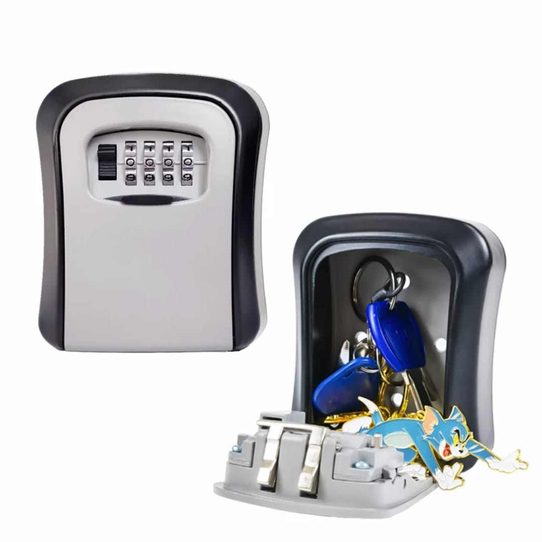 Safe lock box